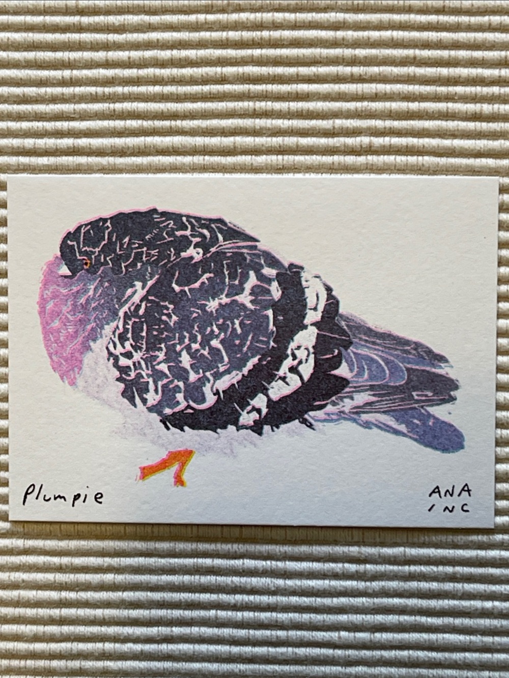 Anastasia Inciardi "Plumpie” Pigeon Mini Print